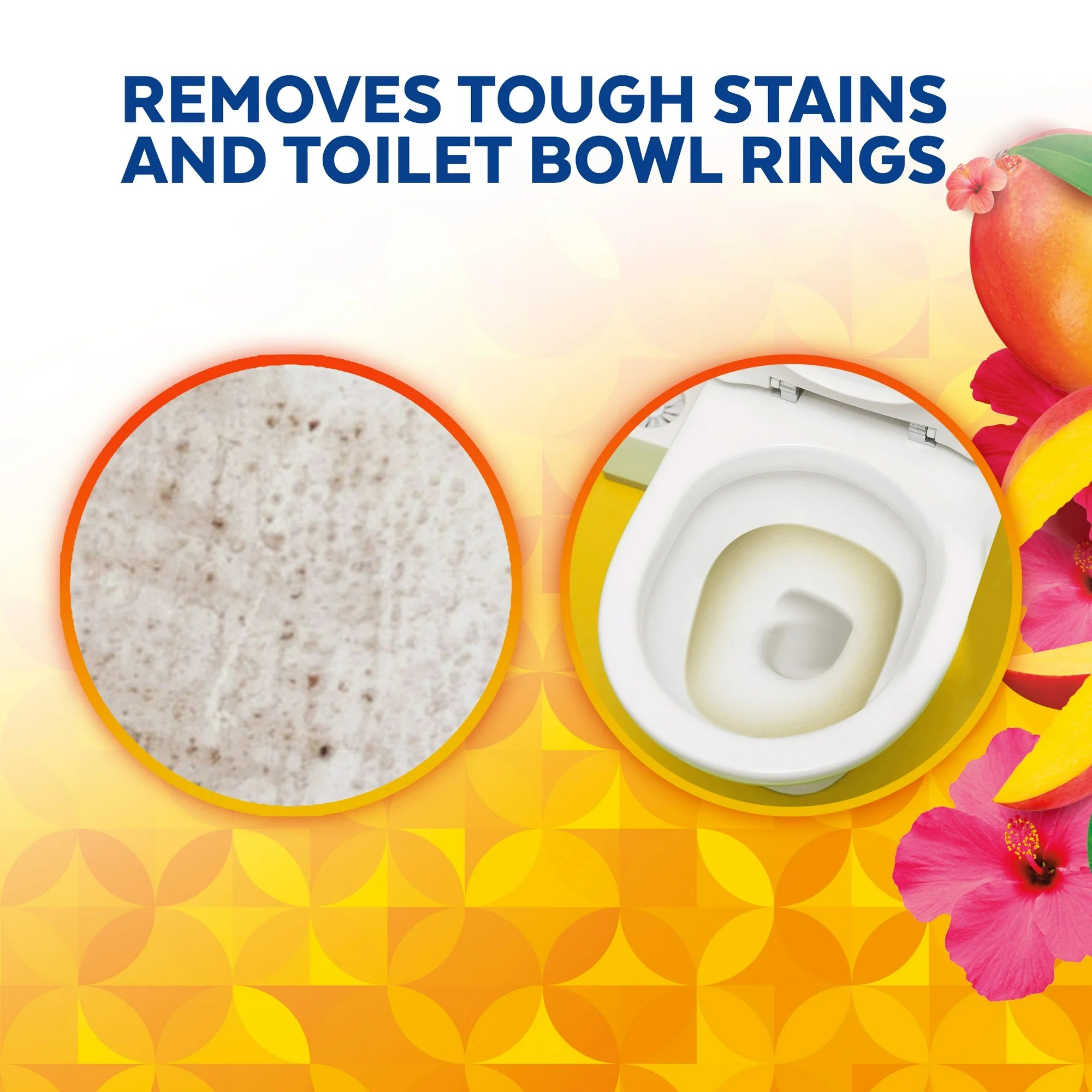 Lysol Toilet Bowl Cleaner Gel , 24oz