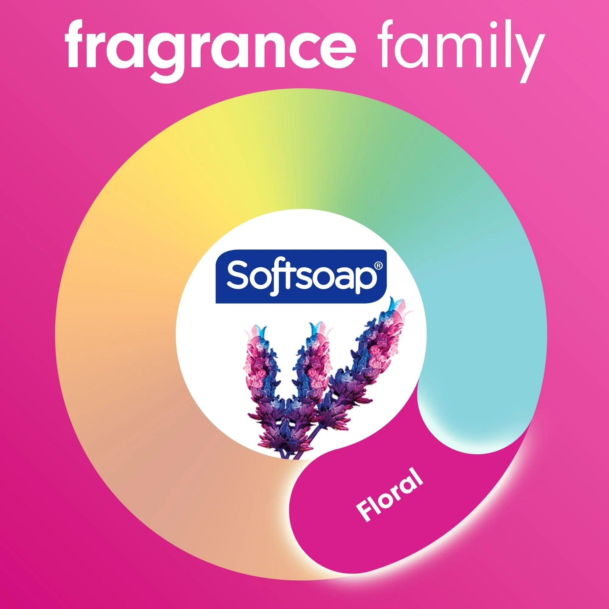 Softsoap Fiji Nights Floral Moisturizing Body Wash