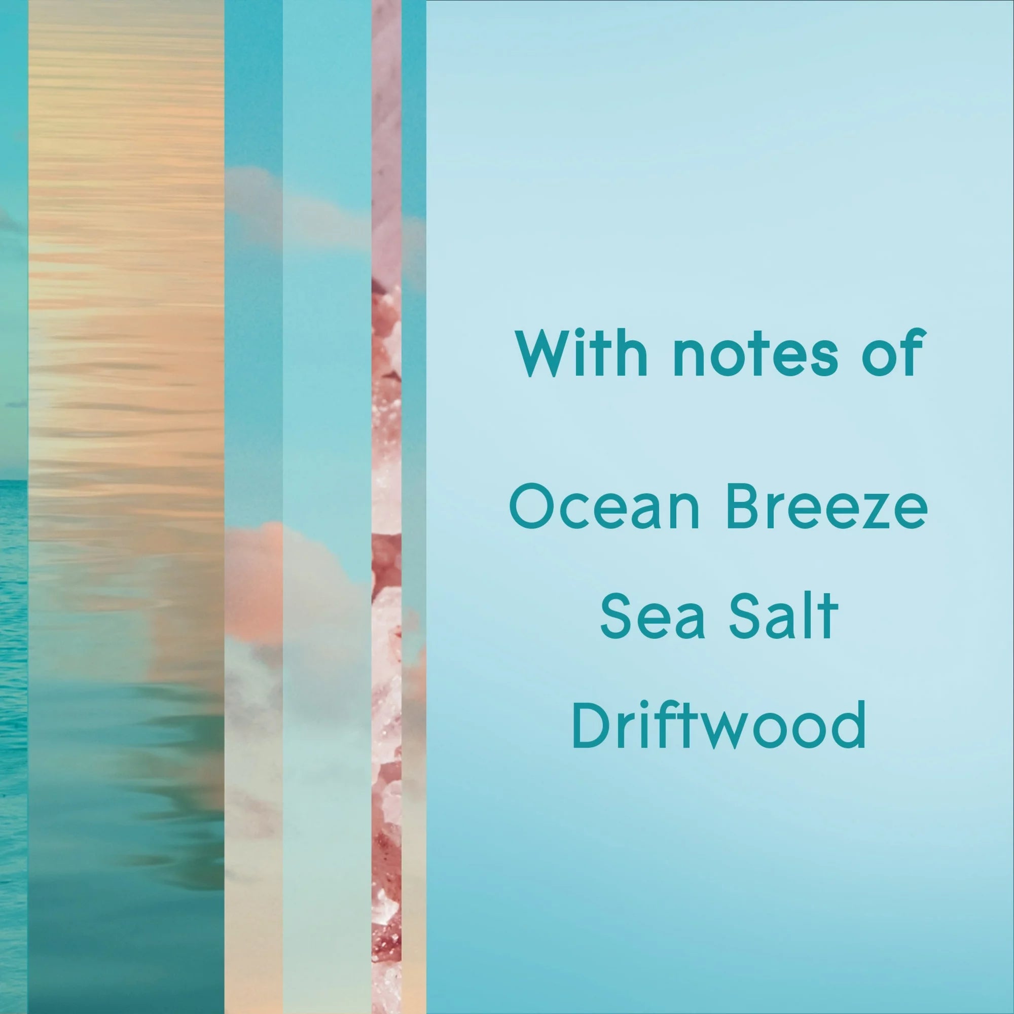Glade Sky & Sea Salt Air Freshener