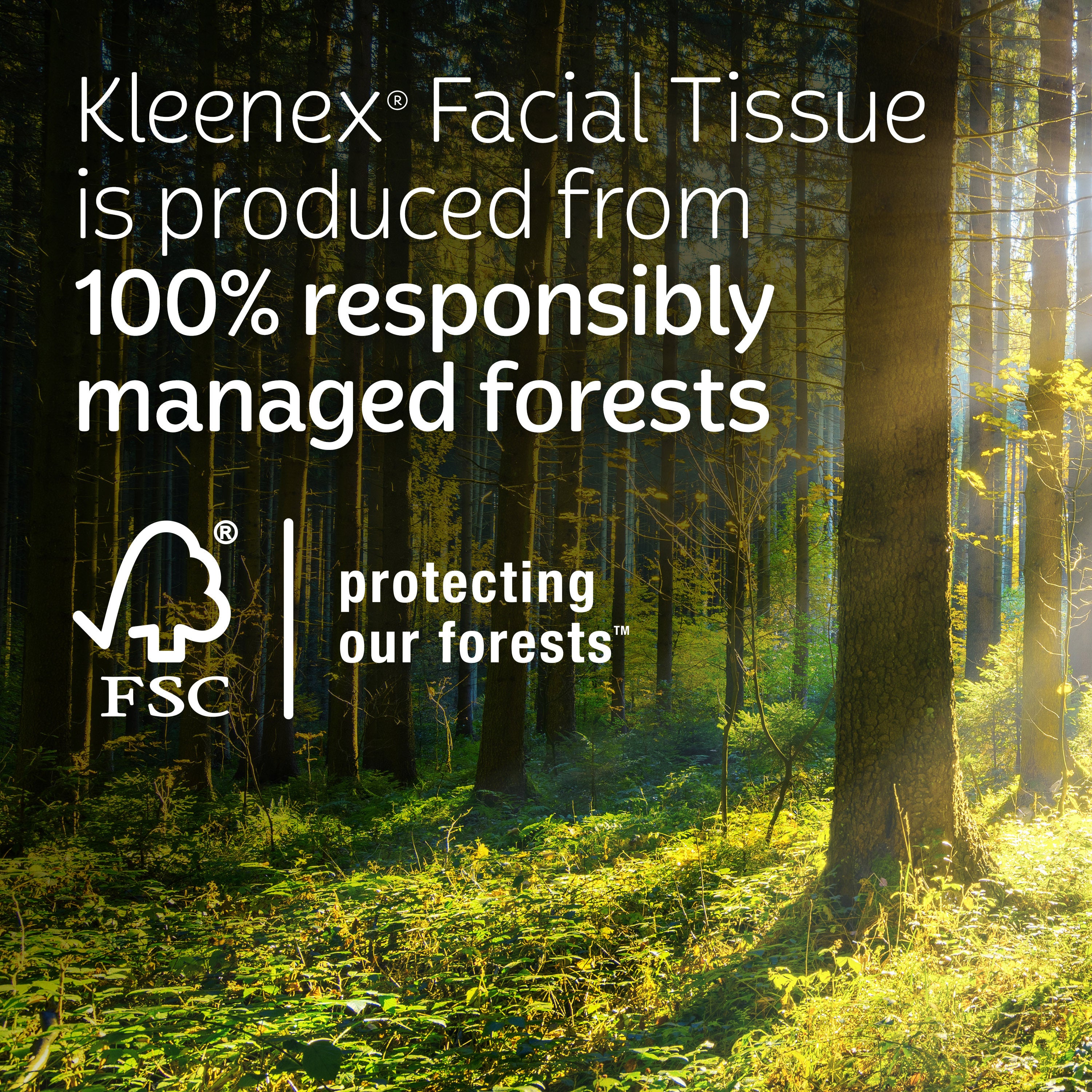 Kleenex Trusted Care Facial Tissues