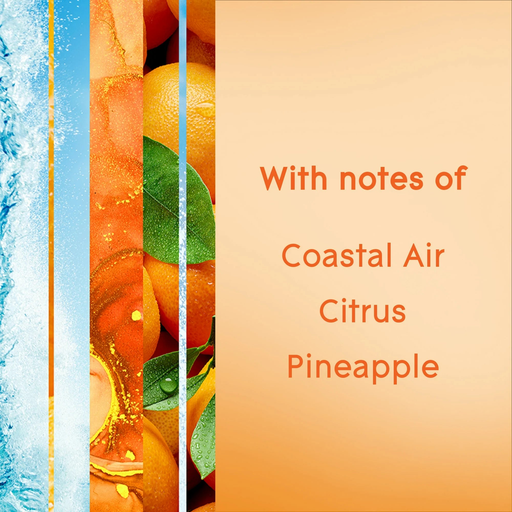 Glade Coastal Sunshine Citrus Air Freshener