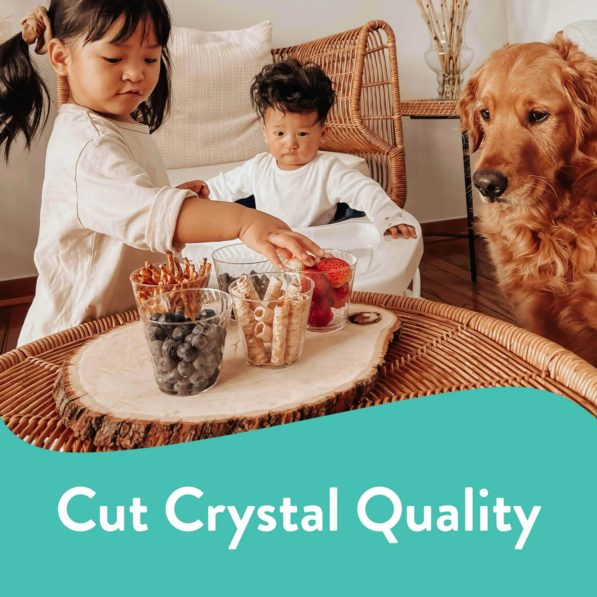 Chinet Crystal Clear Plastic Cups , 9 oz