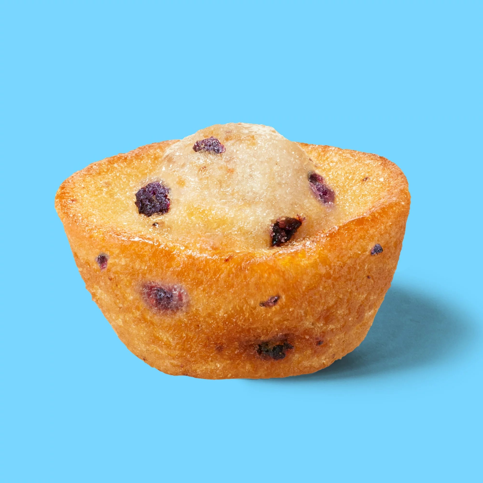 Entenmann's Little Bites Blueberry Mini Muffins