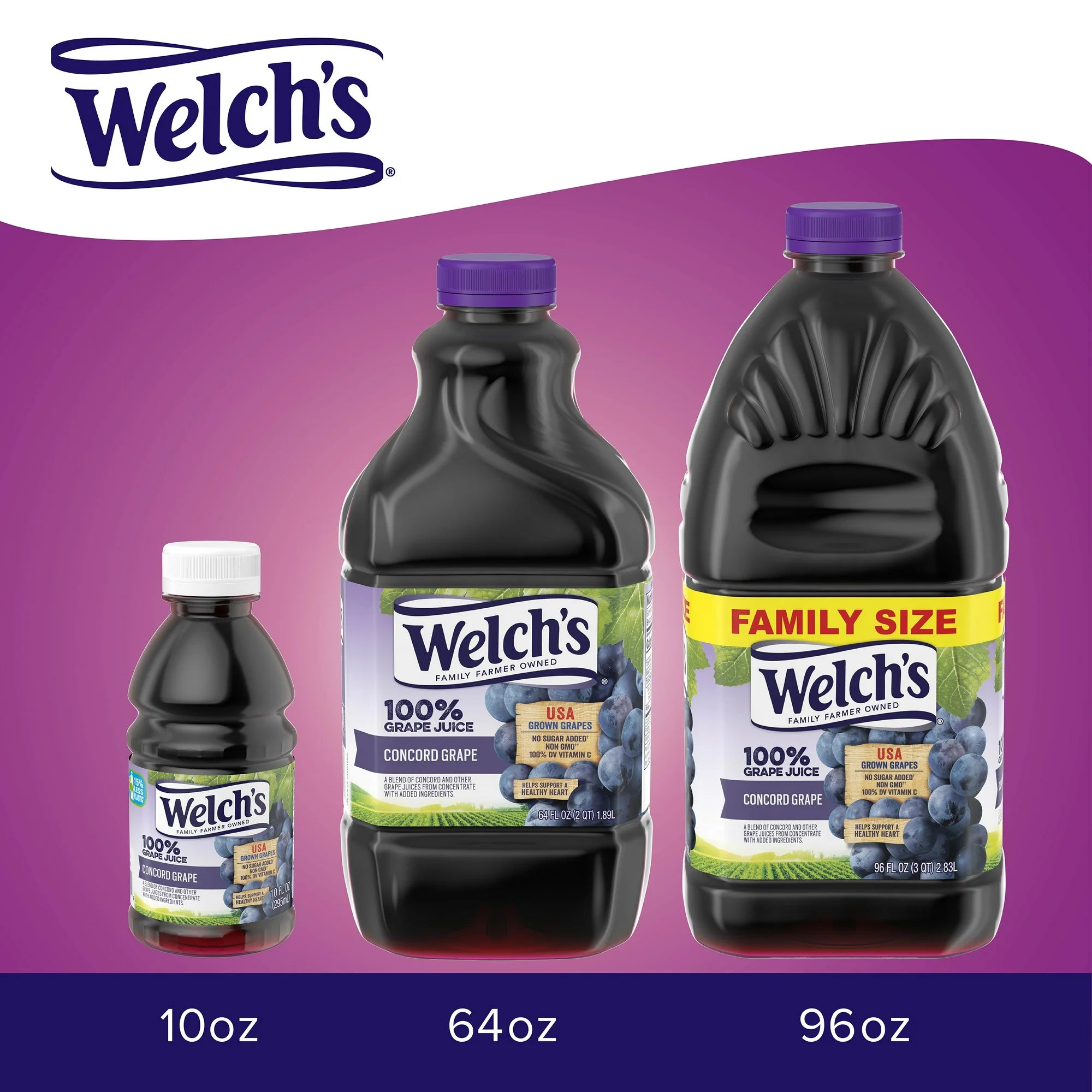 Welch's 100% Grape Juice, Concord Grape, 10 fl oz On-the-Go Bottle (Pack of 6)