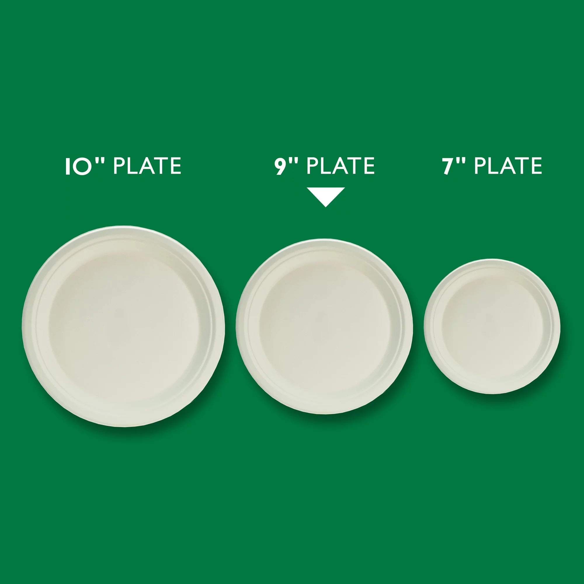 Hefty ECOSAVE Compostable Paper Plates