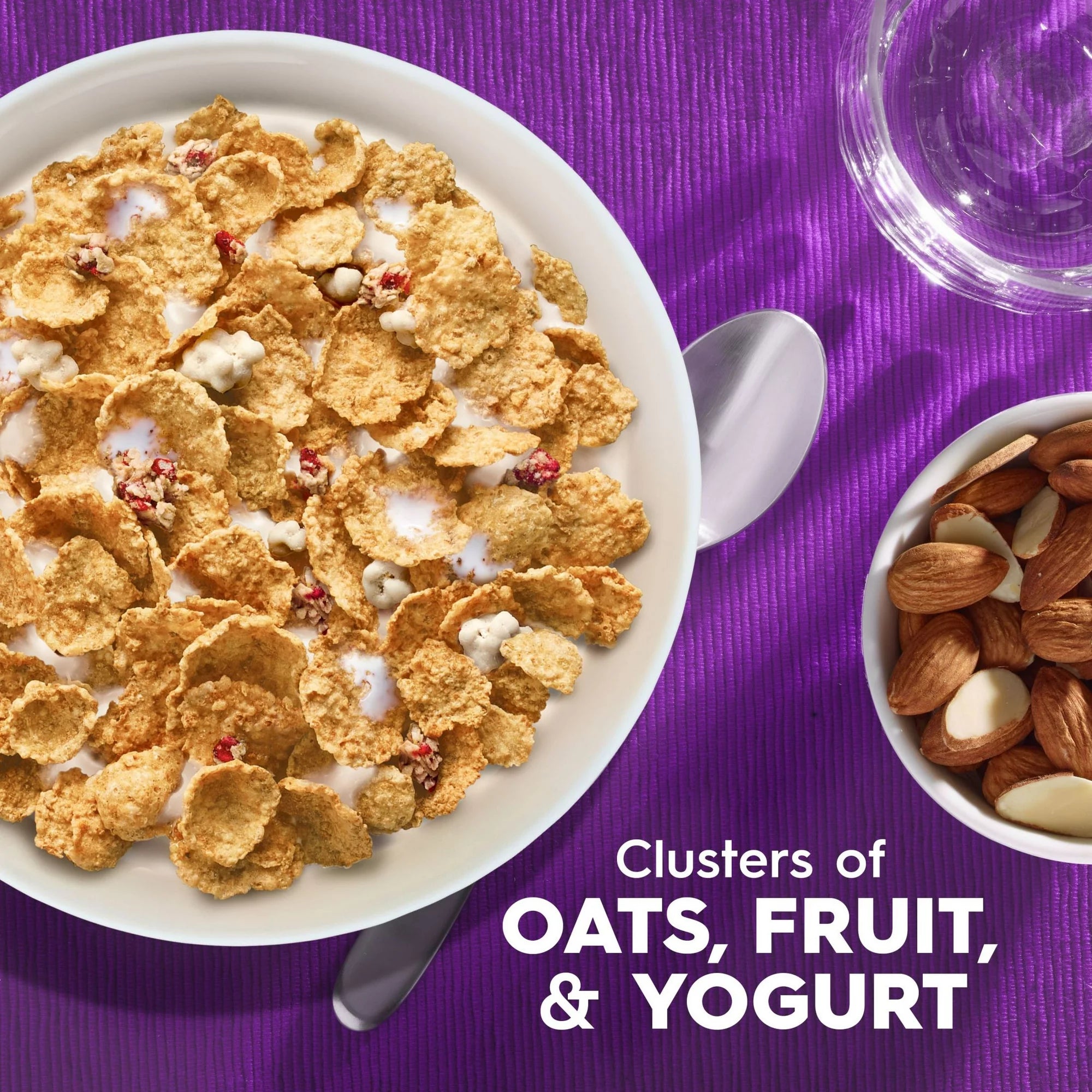 Kellogg's Special K Fruit & Yogurt Cereal