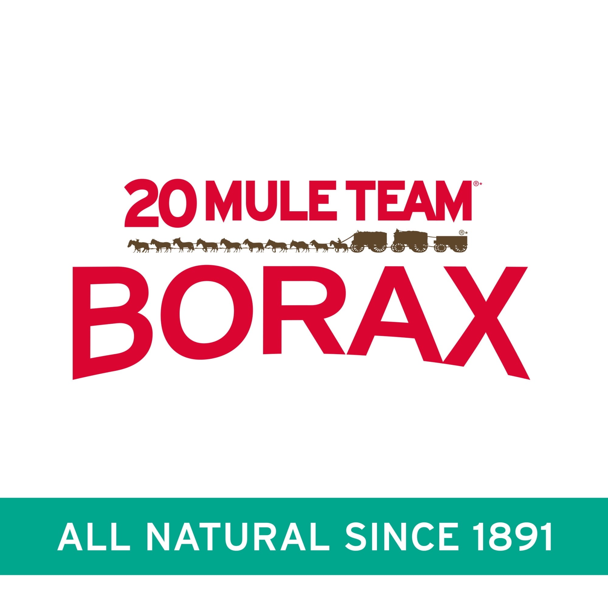 20 Mule Team Borax All-Natural Cleaner & Laundry Booster