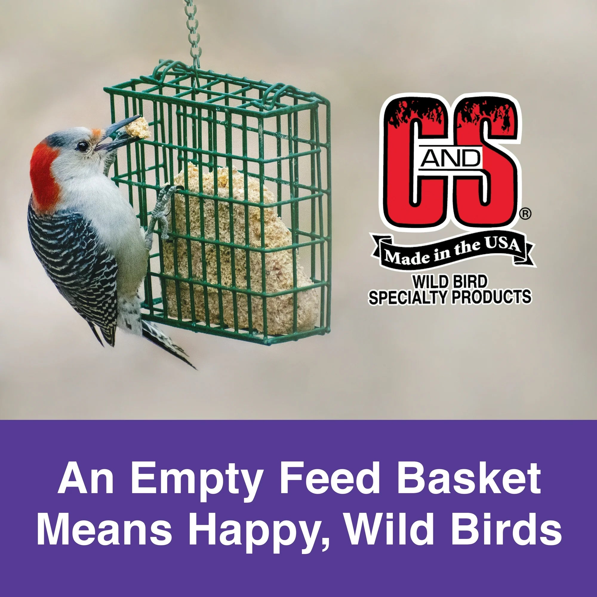 C & S Products Berry Treat Suet, 11.75 oz, Wild Bird Food, Fresh, 1 Pack