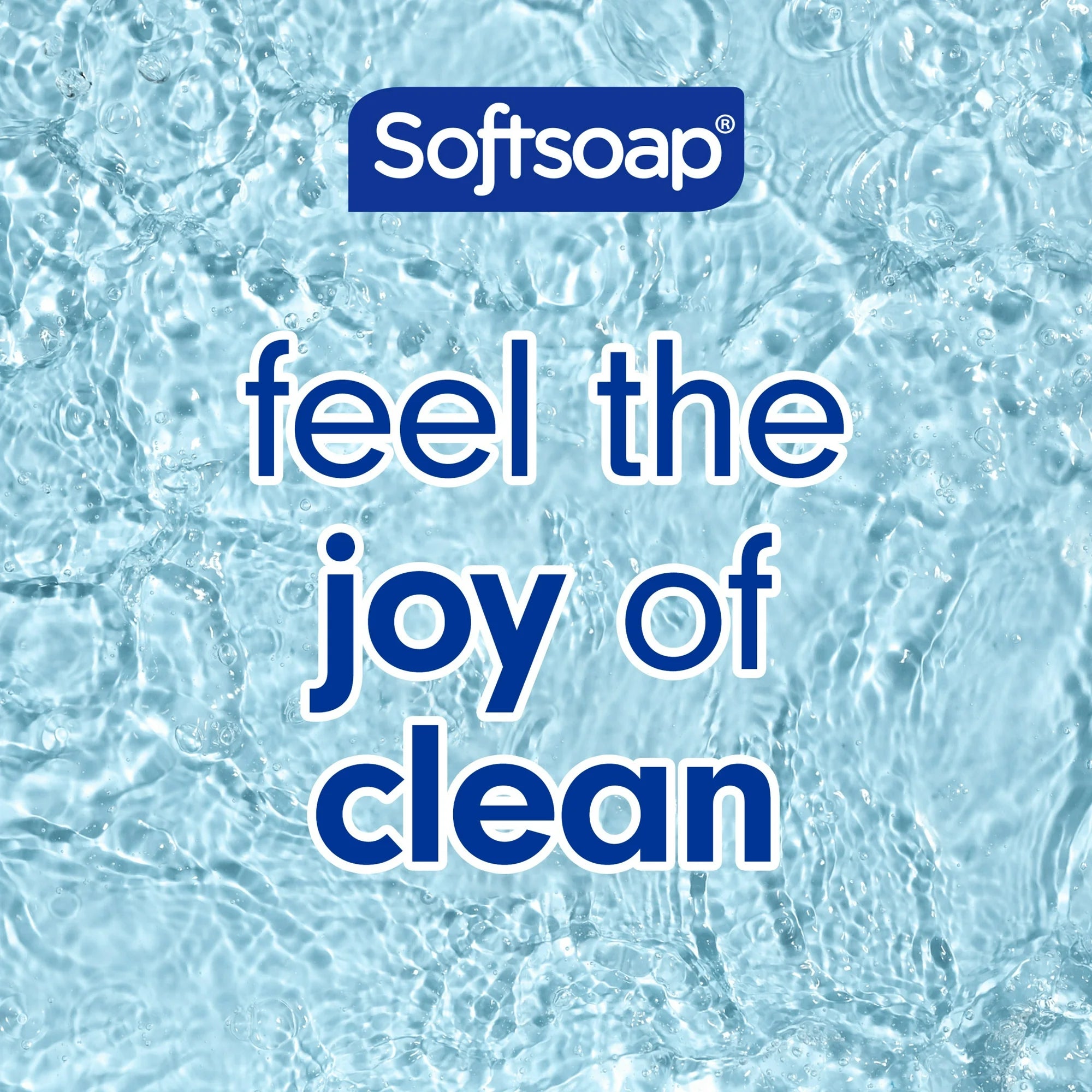 Softsoap Moisturizing Body Wash