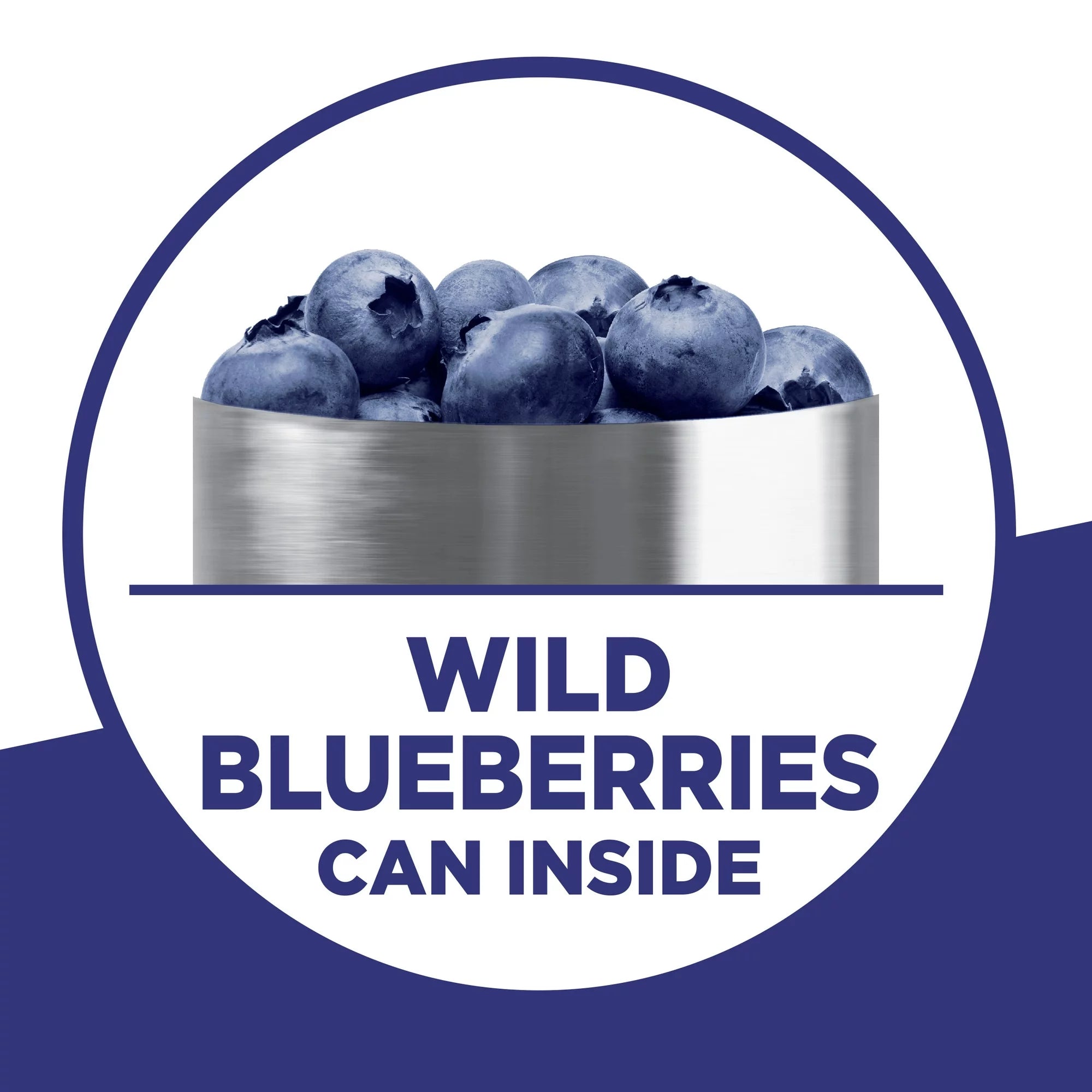 Krusteaz Wild Blueberry Muffin Mix with Can