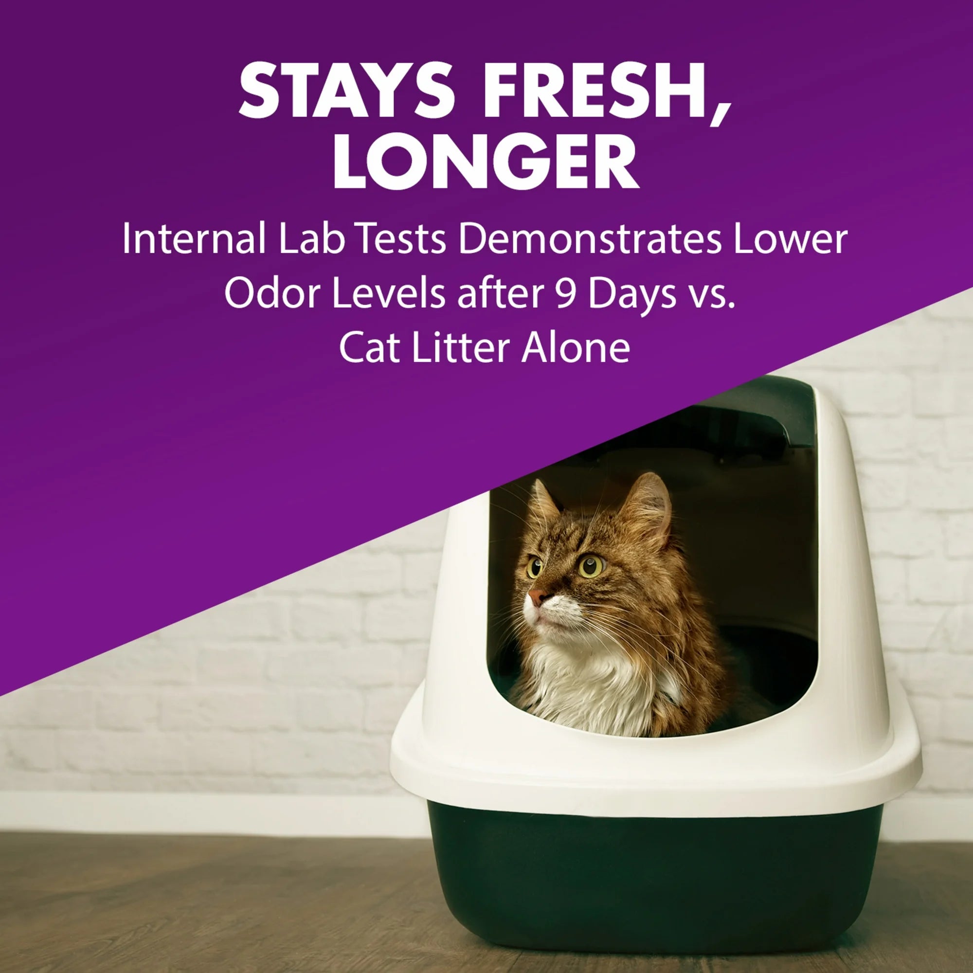 Cat Litter Deodorizer and Pet Odor Eliminator