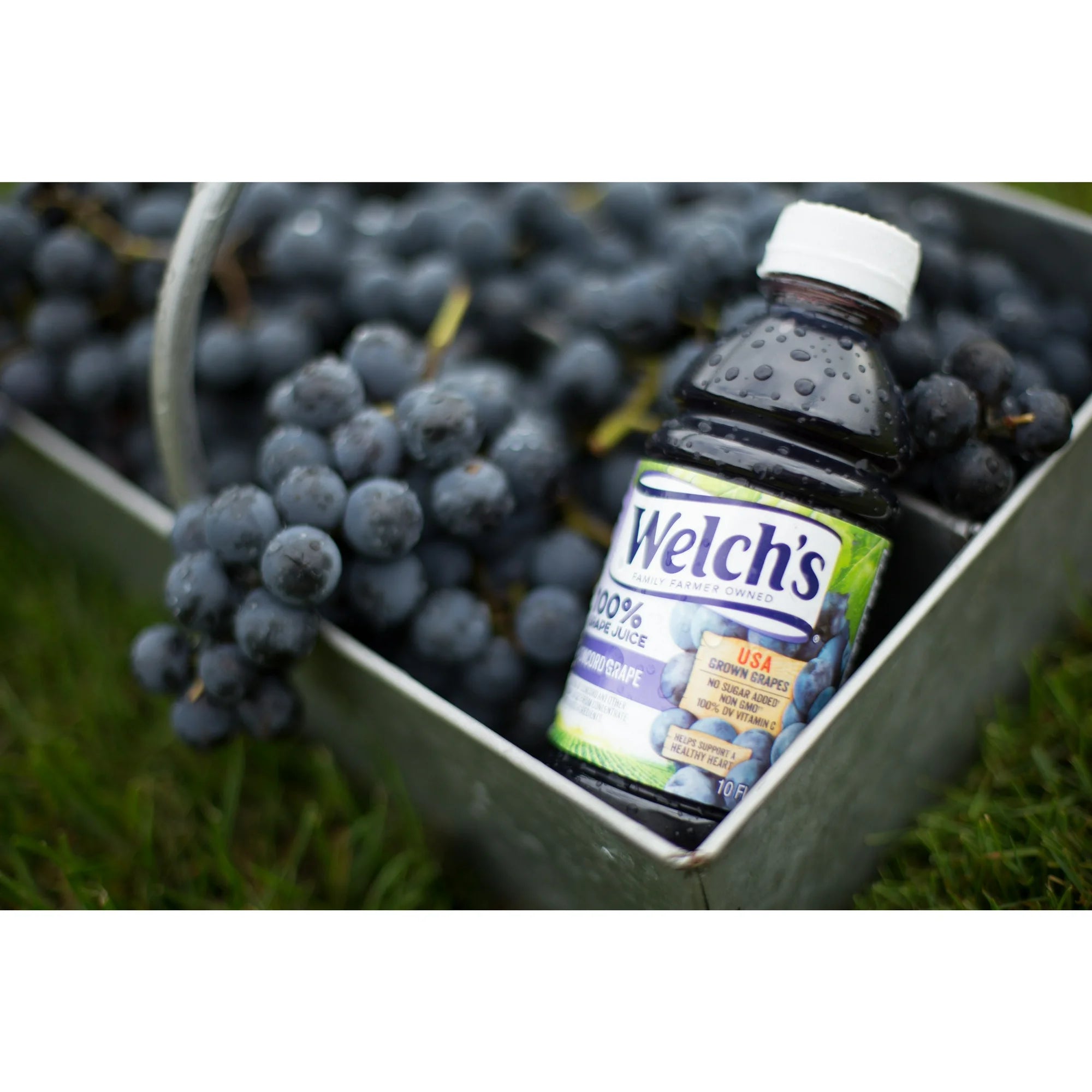 Welch's 100% Grape Juice, Concord Grape, 10 fl oz On-the-Go Bottle (Pack of 6)