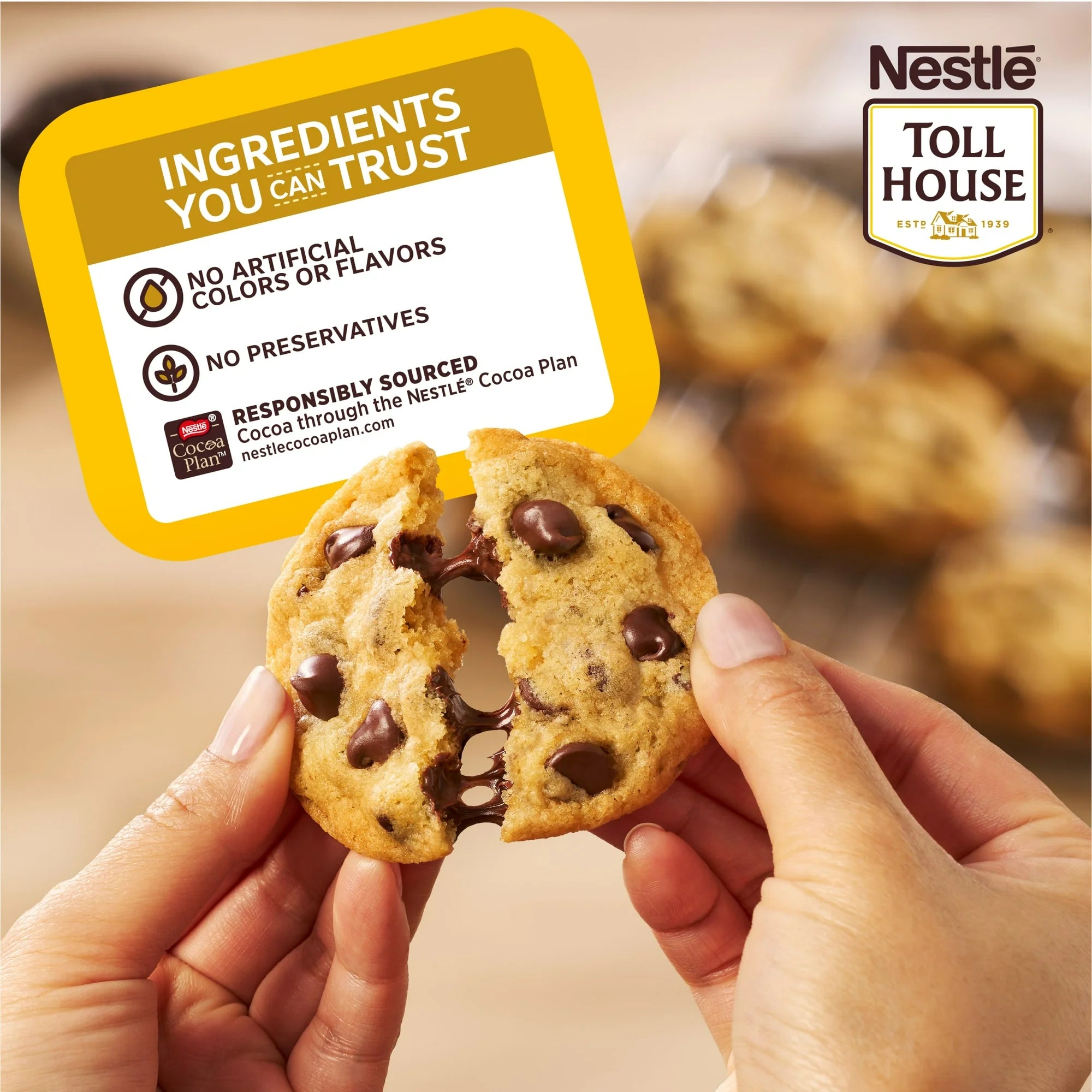 Nestle Toll House Chocolate Chip Cookie Dough