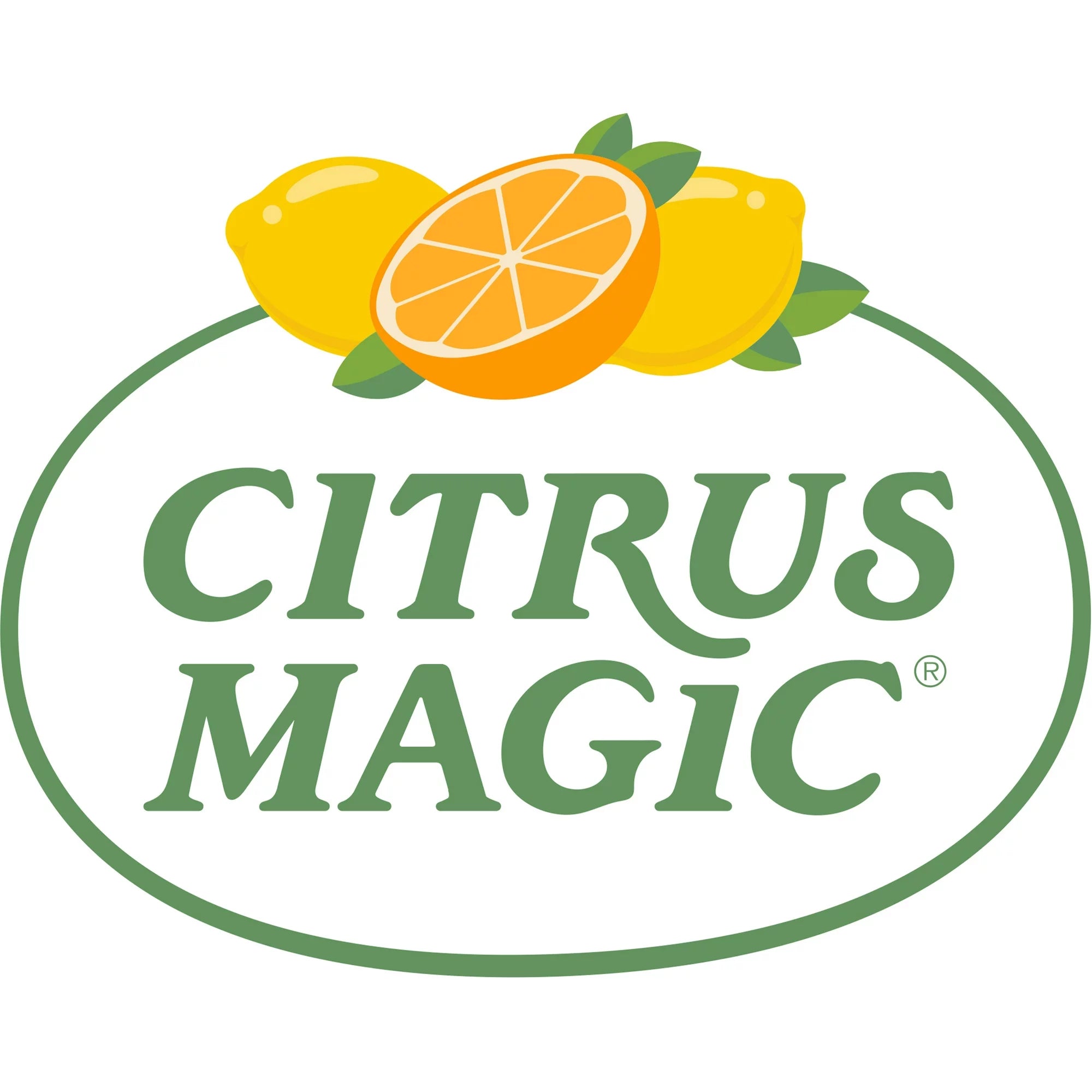 Citrus Magic Lavender Closet Freshener