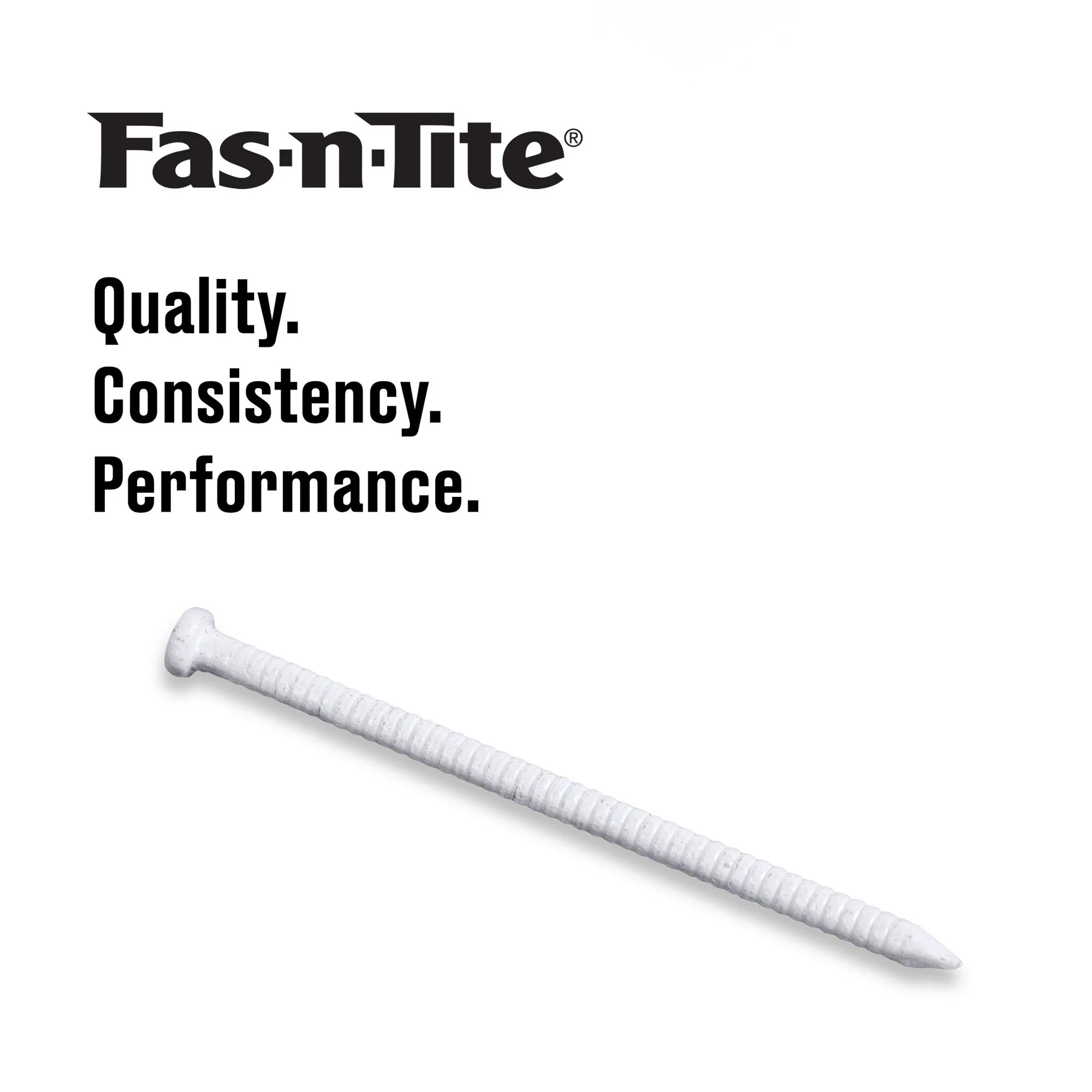 Fas-n-Tite White Panel Nails, Steel