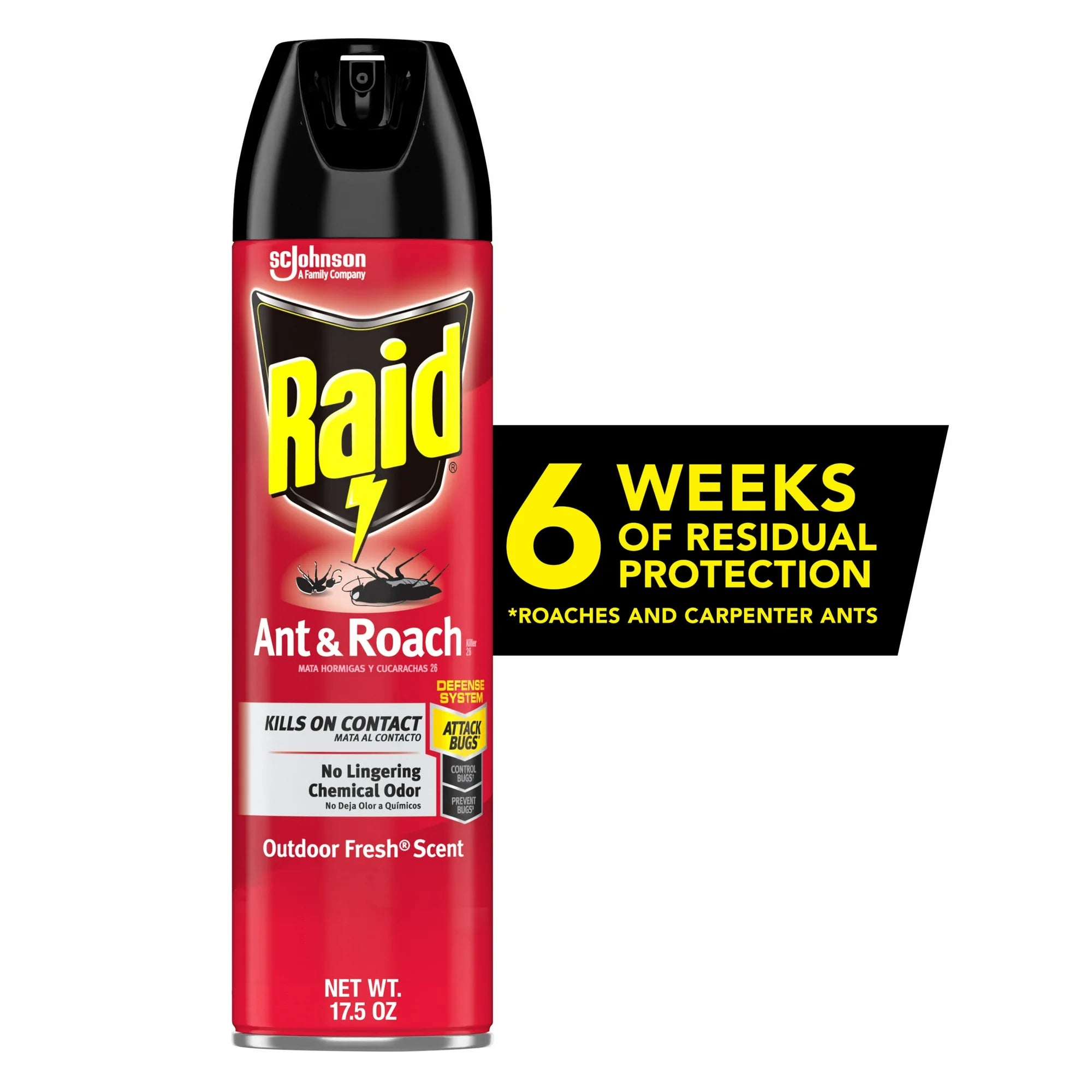 Raid Insect Killer, Fresh Scent , 17.5 oz