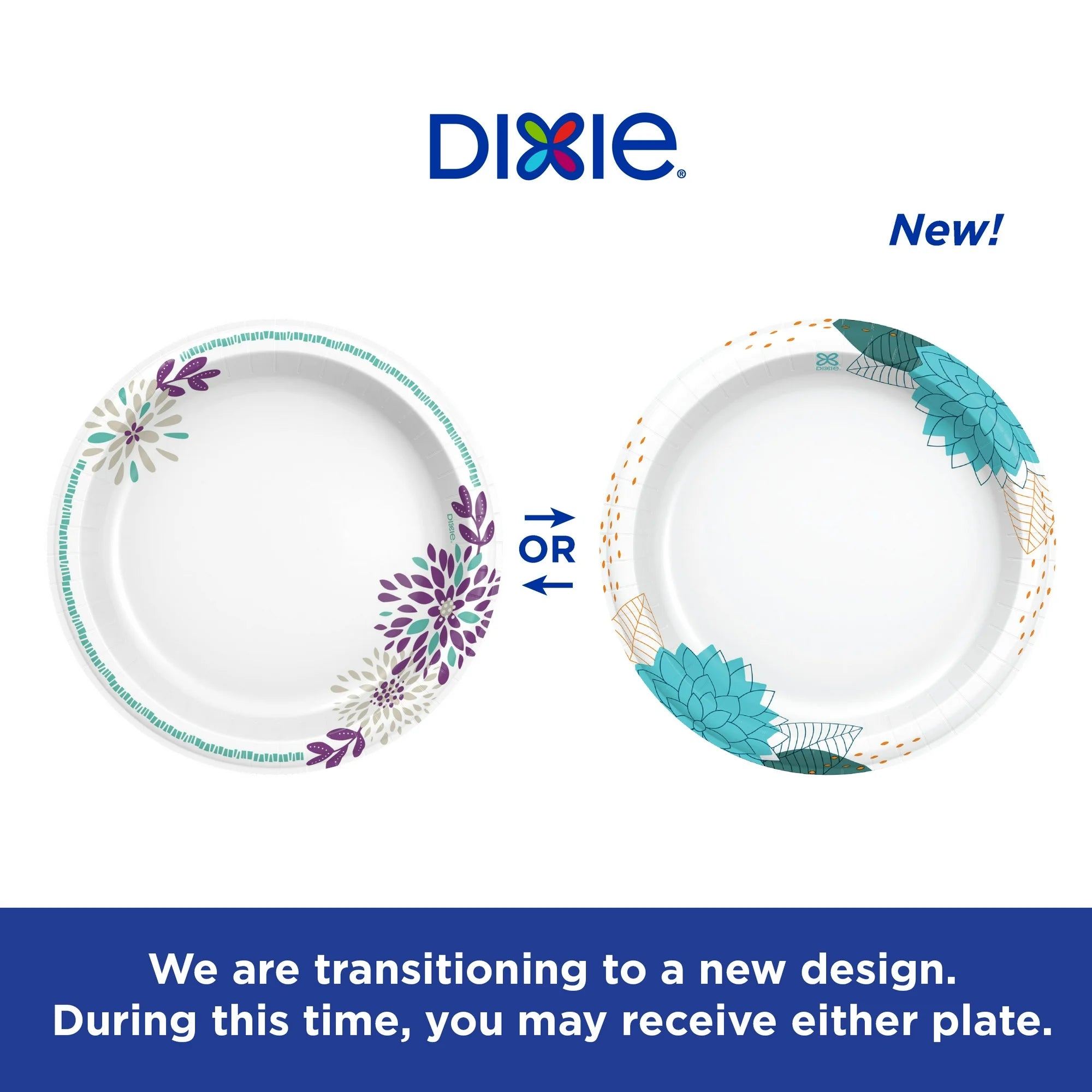 Dixie Paper Plates Multicolor, Disposable