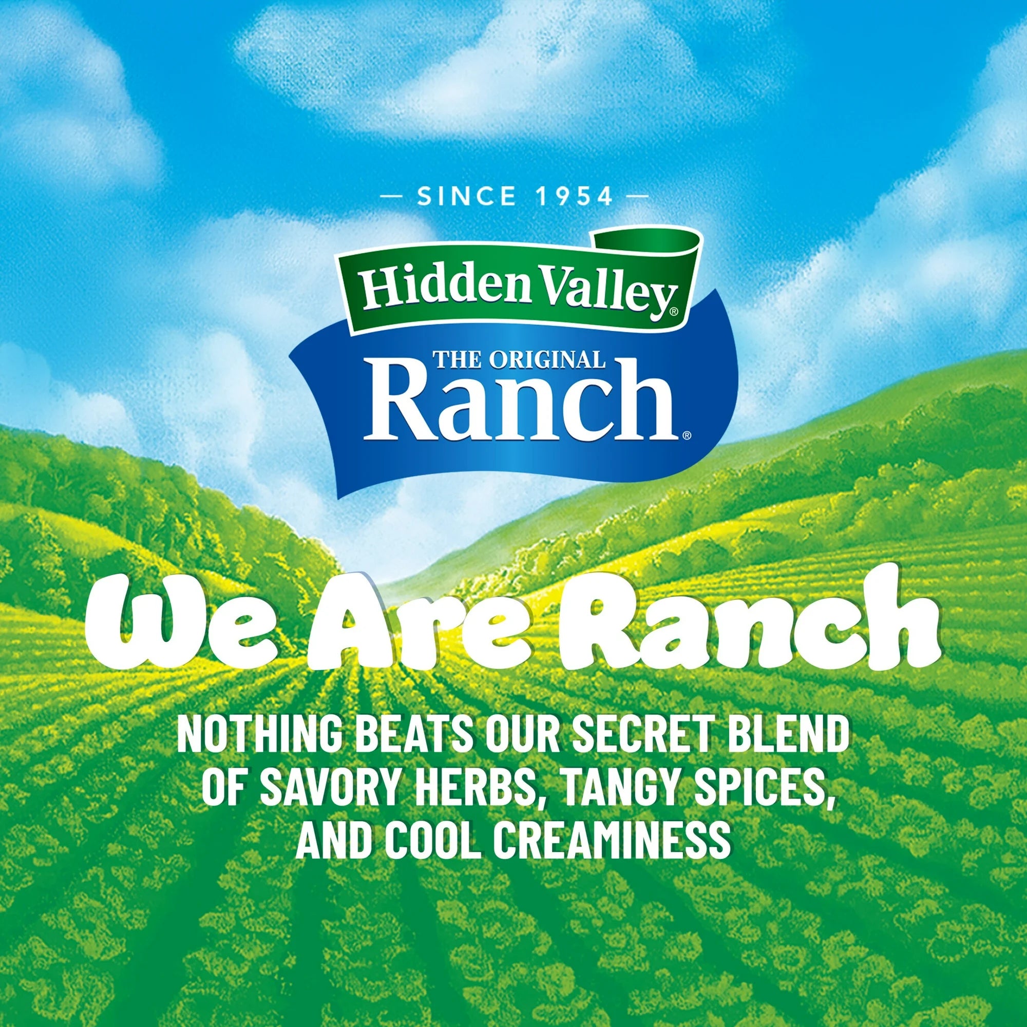 Hidden Valley Ranch, 16 fl oz