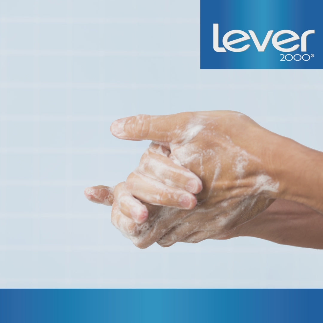 Lever 2000 Refreshing Bar Soap for Dry Skin